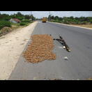 Und hier sogar ein Teil des National Highways zum Trocknen von Tamarinde